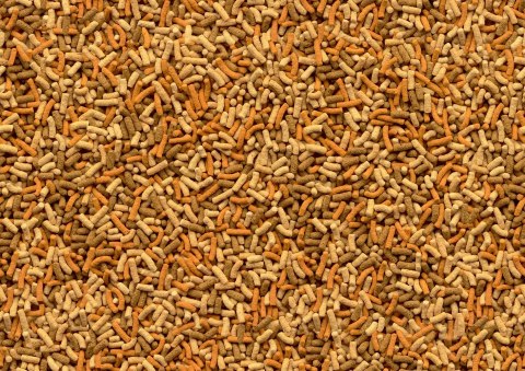 Tetra Pond Variety Sticks 4l