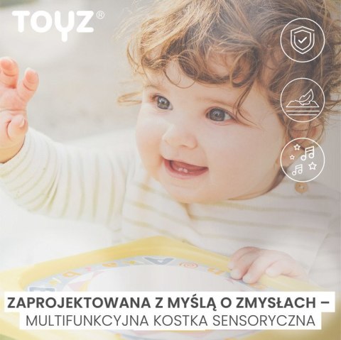 2111 ZABAWKA EDUKACYJNA - KOSTKA SENSORYCZNA (0556) 2111 ZABAWKA EDUKACYJNA - KOSTKA SENSORYCZNA (0556)