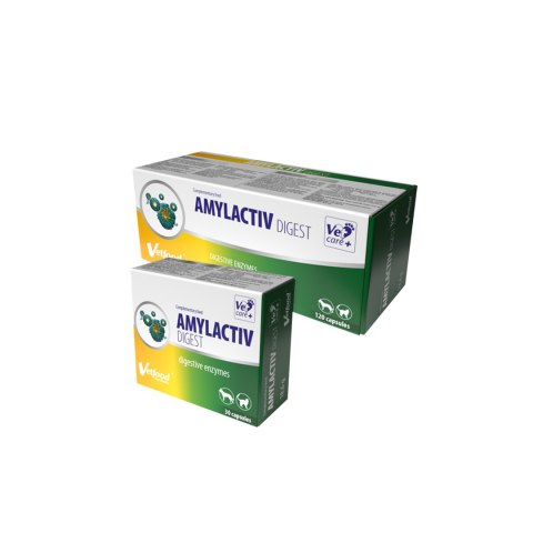 Amylactiv Digest (30 kapsułek)