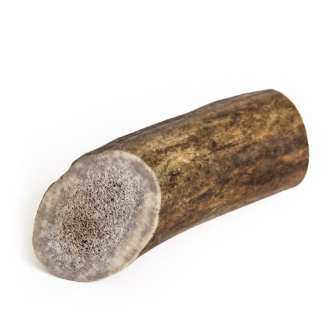 Antler dog chew/ gryzak z poroża jelenia (Rozmiar M - ok 76-150 g)