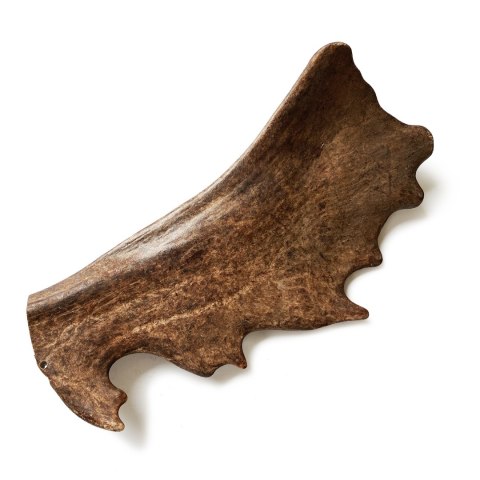 Fallow deer antler/ gryzak z poroża daniela (Rozmiar M - ok 76-150 g) Fallow deer antler/ gryzak z poroża daniela (Rozmiar M - ok 76-150 g)
