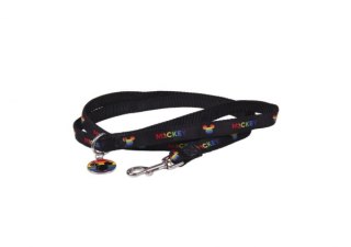 Smycz Disney (M)
