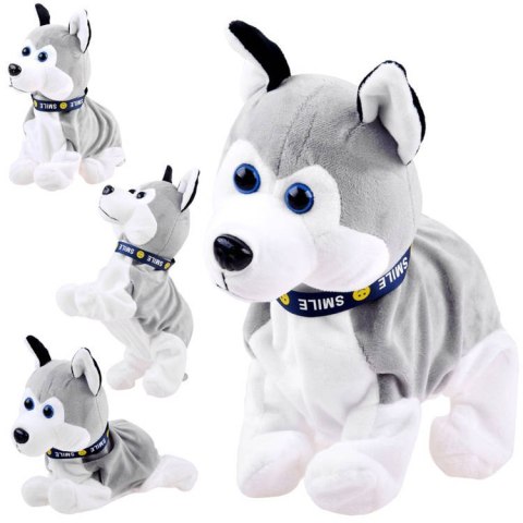 Interaktywny piesek Husky reaguje na dotyk Szczeka + różne sztuczki ZA1333 Interaktywny piesek Husky reaguje na dotyk Szczeka + różne sztuczki ZA1333