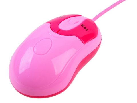 Laptop edukacyjny polsko angielski 65funkcji ZA3321 Laptop edukacyjny polsko angielski 65funkcji ZA3321