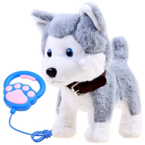 Interaktywny piesek Husky na smyczy szczeka ZA3888 Interaktywny piesek Husky na smyczy szczeka ZA3888