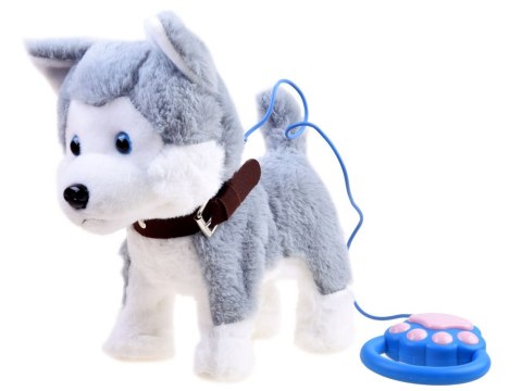 Interaktywny piesek Husky na smyczy szczeka ZA3888 Interaktywny piesek Husky na smyczy szczeka ZA3888