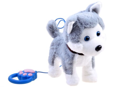 Interaktywny piesek Husky na smyczy szczeka ZA3888 Interaktywny piesek Husky na smyczy szczeka ZA3888