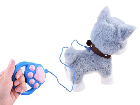 Interaktywny piesek Husky na smyczy szczeka ZA3888 Interaktywny piesek Husky na smyczy szczeka ZA3888