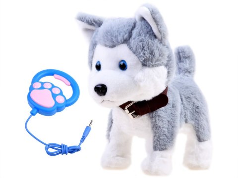 Interaktywny piesek Husky na smyczy szczeka ZA3888 Interaktywny piesek Husky na smyczy szczeka ZA3888