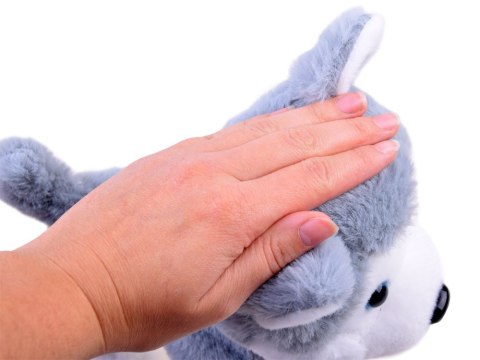 Interaktywny piesek Husky na smyczy szczeka ZA3888 Interaktywny piesek Husky na smyczy szczeka ZA3888
