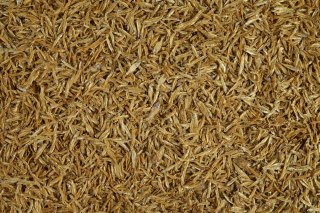 Tetra Anchovies 1l