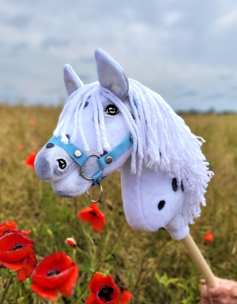 Hobby Horse Mały koń na kiju Premium - tarantowaty A4 Hobby Horse Mały koń na kiju Premium - tarantowaty A4