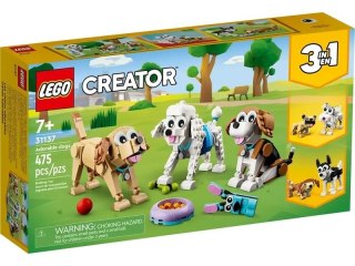 CREATOR UROCZE PIESKI