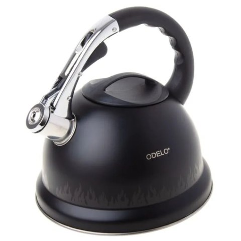 Czajnik stalowy 3,2l FLANN MAGIC grube dno OD2629