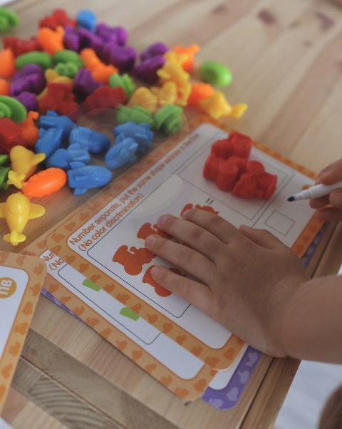 WOOPIE Zestaw Edukacyjny Nauka Liczenia Montessori Sorter Kolorów 2szt WOOPIE Zestaw Edukacyjny Nauka Liczenia Montessori Sorter Kolorów 2szt