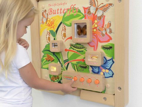 MASTERKIDZ Tablica Edukacyjna Ścienna Cykl Życia Motylka MASTERKIDZ Tablica Edukacyjna Ścienna Cykl Życia Motylka