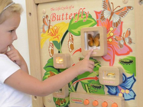 MASTERKIDZ Tablica Edukacyjna Ścienna Cykl Życia Motylka MASTERKIDZ Tablica Edukacyjna Ścienna Cykl Życia Motylka