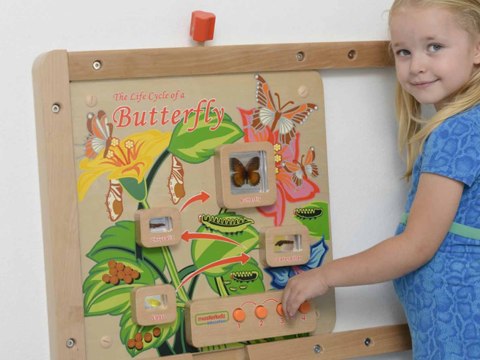 MASTERKIDZ Tablica Edukacyjna Ścienna Cykl Życia Motylka MASTERKIDZ Tablica Edukacyjna Ścienna Cykl Życia Motylka