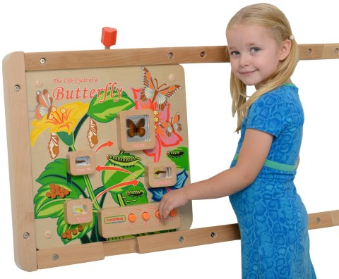 MASTERKIDZ Tablica Edukacyjna Ścienna Cykl Życia Motylka MASTERKIDZ Tablica Edukacyjna Ścienna Cykl Życia Motylka