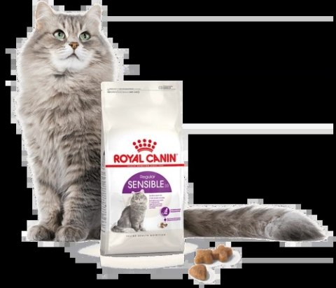 ROYAL CANIN Sensible 33 10kg + 2kg