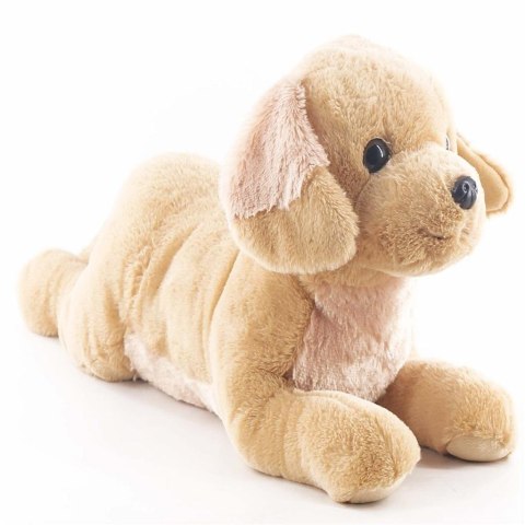 Maskotka pies Labrador 60cm leżący Maskotka pies Labrador 60cm leżący