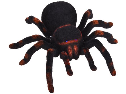 Zdalnie sterowany ogromny realistyczny PAJĄK tarantula pilot RC0251