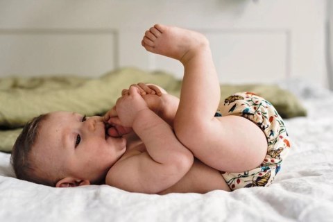 Otulacz LEŚNA POLANA