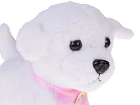 Piesek interaktywny chodzi na smyczy szczeka rusza ogonkiem ZA5591