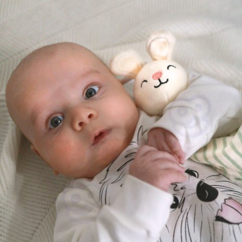 WOOPIE GREEN Pudełko XXL Montessori Sensoryka i Edukacja 7w1 FSC