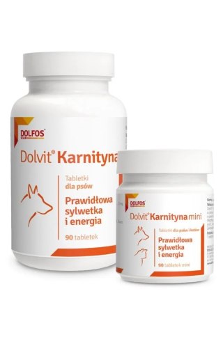 Dolfos Dolvit Karnityna 90 Tabletek