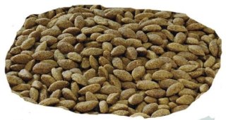 Purina Pro Plan Medium & Large 7+ Sensitive Optiderma Łosoś I Ryż 14kg