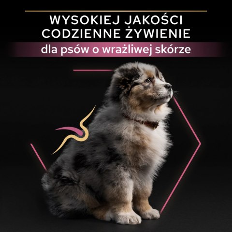 Purina Pro Plan Medium Puppy Sensitive Optiderma Łosoś I Ryż 12kg
