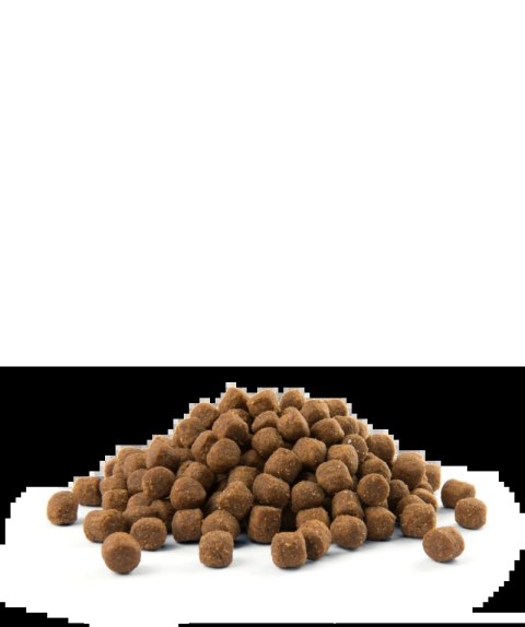 Versele-Laga Opti Life Puppy Sensitive Łosoś Z Ryżem 2,5kg