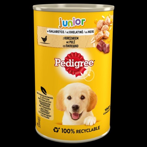 Pedigree Mokra Karma Dla Szczeniąt Z Kurczakiem W Galaretce 400g