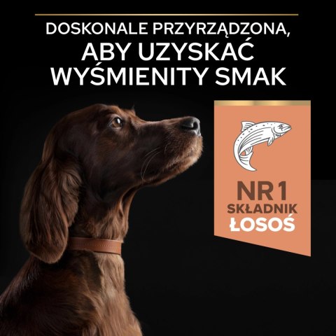 Purina Pro Plan Large Adult Athletic Optiderma Łosoś I Ryż 14kg