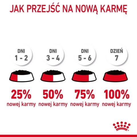 ROYAL CANIN Intense Beauty Gelee 12x85g