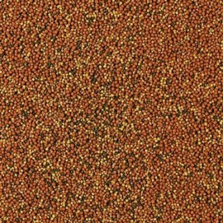 Tropical SuperVit Granulat 250ml