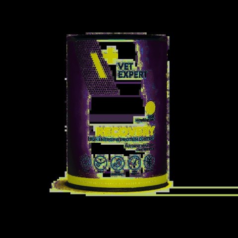 VETEXPERT Veterinary Diet Recovery 400g