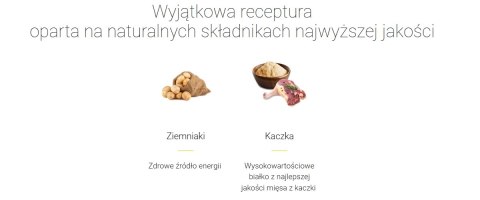 Josera Lachs & Kartoffel - Grain Free 15kg