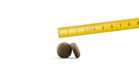 Josera Lachs & Kartoffel - Grain Free 15kg