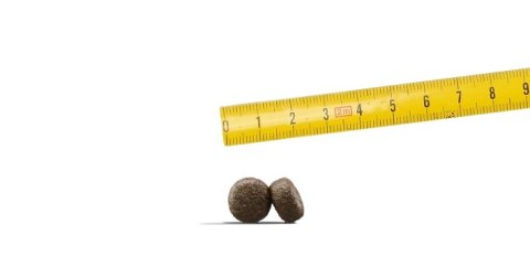 Josera Light & Vital 15kg