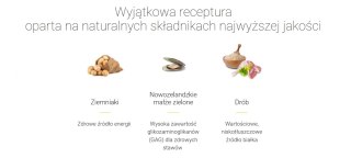 Josera YoungStar - Grain Free 15kg