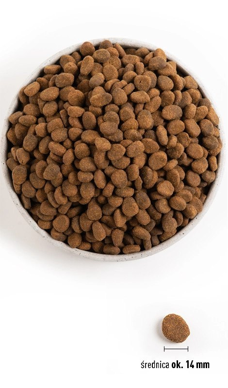 Orijen Regional Red Dog 11,4kg