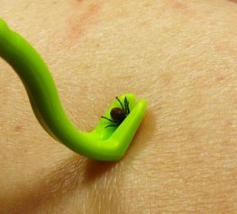 Entomojo SAS Kleszczołapki Tick Twister 2szt