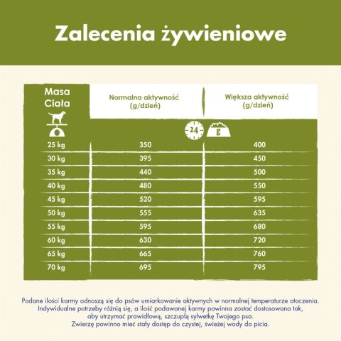 Purina Dog Chow Large Breed Adult Z Indykiem 14kg