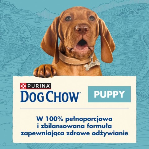 Purina Dog Chow Puppy Z Jagnięciną 14kg