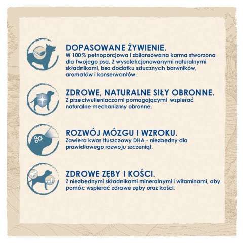 Purina Dog Chow Puppy Z Kurczakiem 14kg