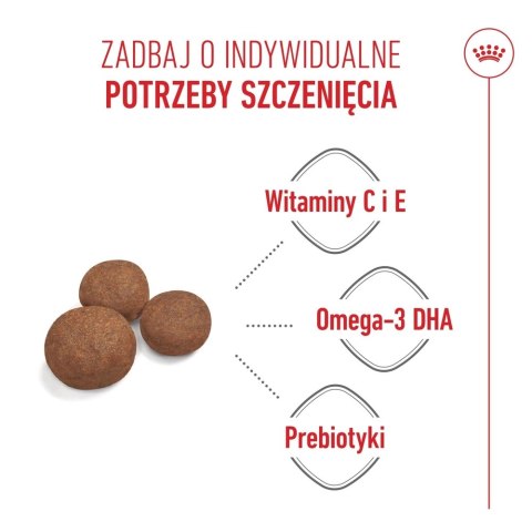 ROYAL CANIN Medium Puppy 1kg