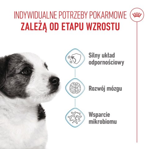 ROYAL CANIN Mini Puppy 800g