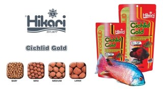 Hikari Cichlid Gold Mini 250g